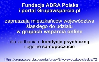 Zdjęcie do Grupy wsparcia online