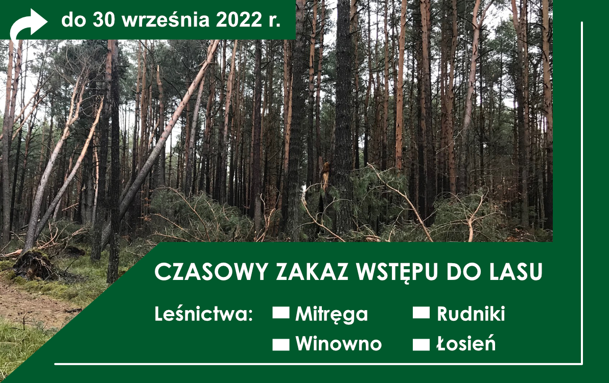 Zakaz wstępu do lasu Zakaz wstępu do lasu