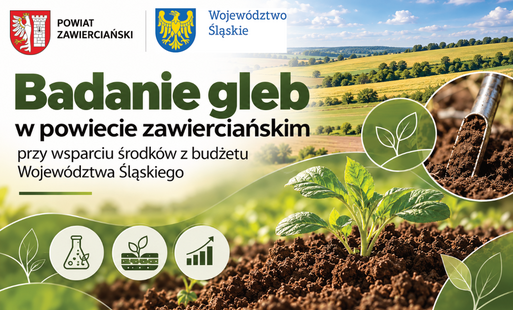 Grafika informacyjna