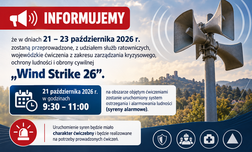 Grafika informacyjna